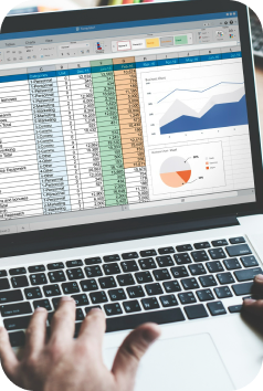Excel Básico